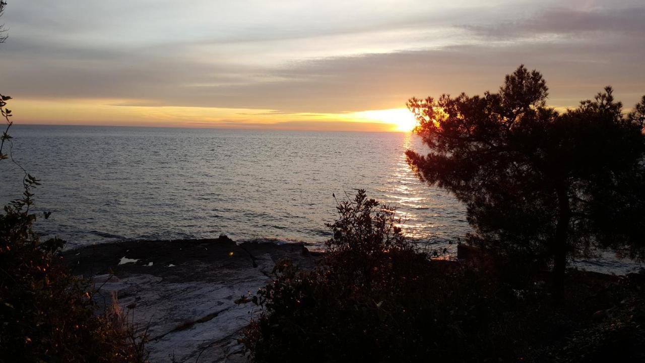 Villa Ema Rovinj Buitenkant foto